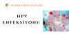 HPV ENFEKSİYONU