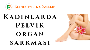 KADINLARDA PELVİK ORGAN ...